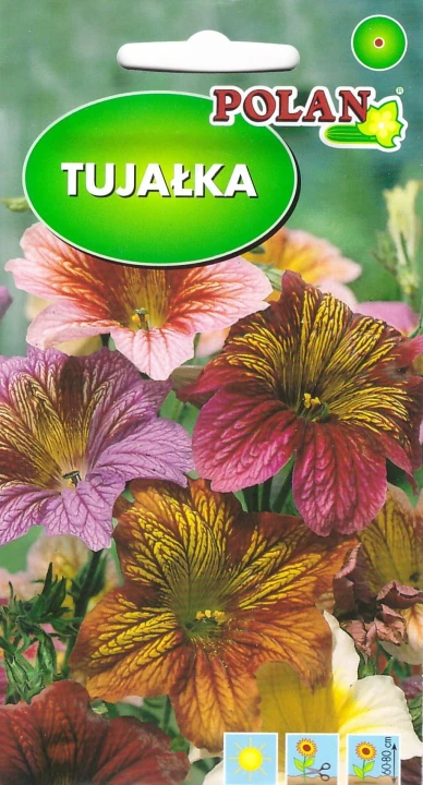 tujałka.jpg