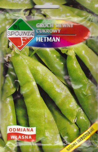 groch hetman.jpg