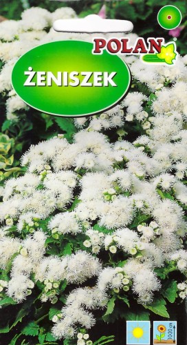 zeniszek bialy pol.jpg