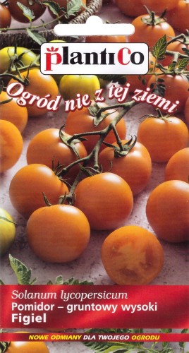 pomidor figiel.jpg