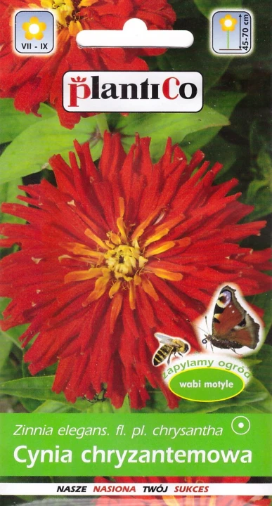 cynia red man.jpg