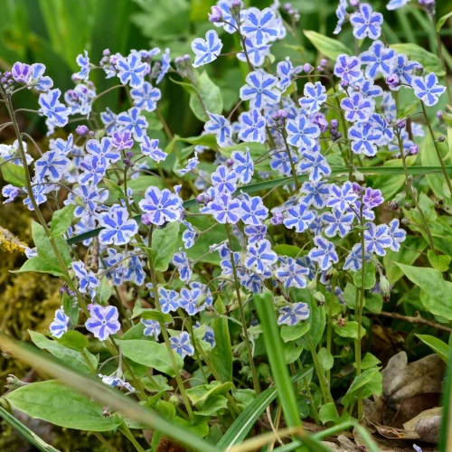 uludka-kapadocka.webp