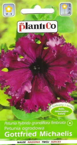 petunia-gottfried-michaelis.webp