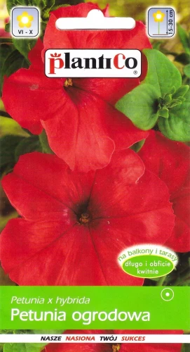 petunia-czerwona.webp