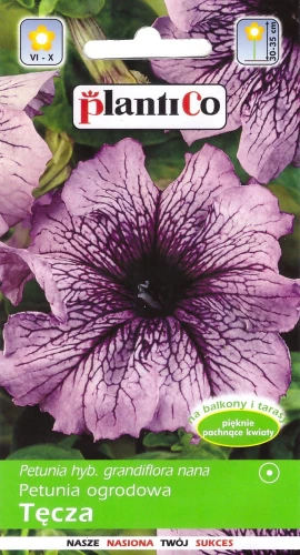 petunia-tęcza.webp
