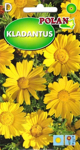 kladantus.webp