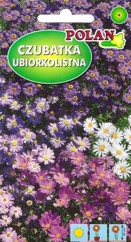 czubatka.webp