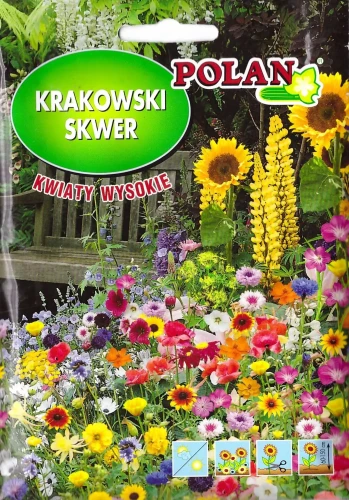 mieszanka-kwiatów-wysokich.webp