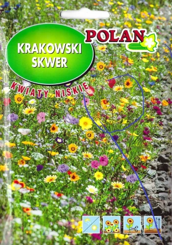 mieszanka-kwiatów-niskich.webp