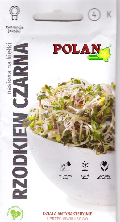 rzodkiew-czarna-na-kiełki.webp