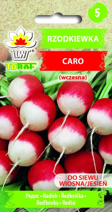 Rzodkiewka-CARO.webp