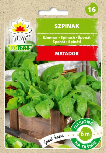 Szpinak-MATADOR-Tasma.webp