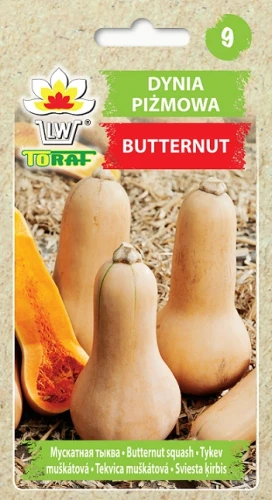 Dynia-piżmowa-BUTTRENUT.webp
