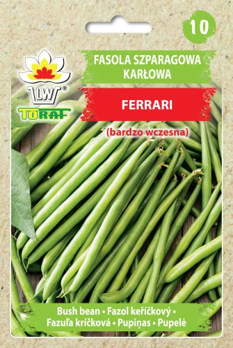 Fasola-ferrari.webp