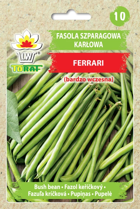Fasola-ferrari.webp