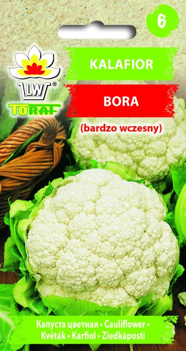 Kalafior-BORA.webp