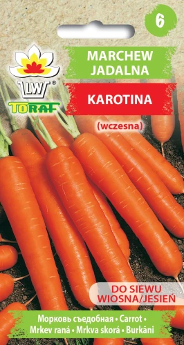 Marchew-KAROTINA.webp