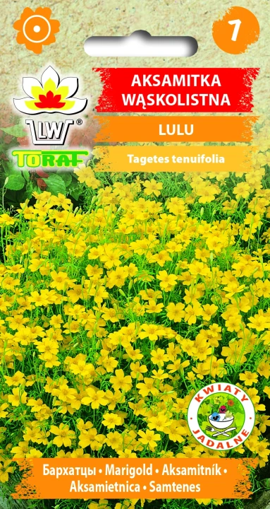 Aksamitka-wąskolistna-LULU.webp