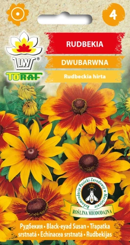 Rudbekia-DWUBARWNA.webp