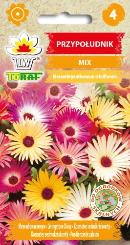 Przypołudnik-MIX.webp
