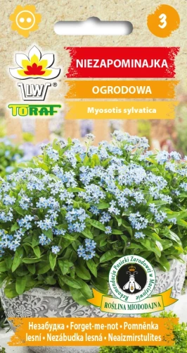 Niezapominajka-OGRODOWA-niebieska.webp