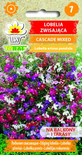Lobelia-zwisająca-CASCADE-MIXED.webp