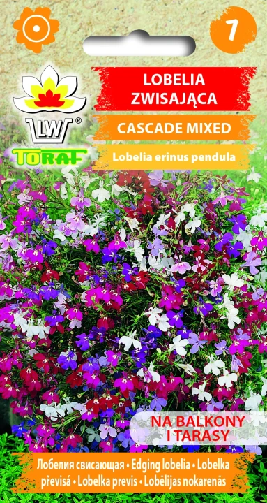 Lobelia-zwisająca-CASCADE-MIXED.webp