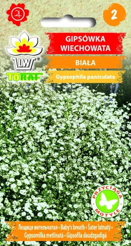 Gipsówka-wiechowata-BIAŁA.webp