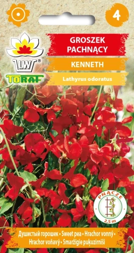 Groszek-pachnący-KENNETH.webp
