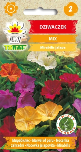 Dziwaczek-MIX.webp