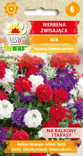 Werbena-zwisająca-MIX.webp