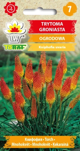 Trytoma-groniasta.webp