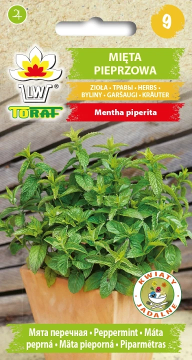 Mięta-Pieprzowa.webp
