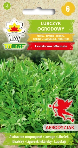 Lubczyk-Ogrodowy.webp