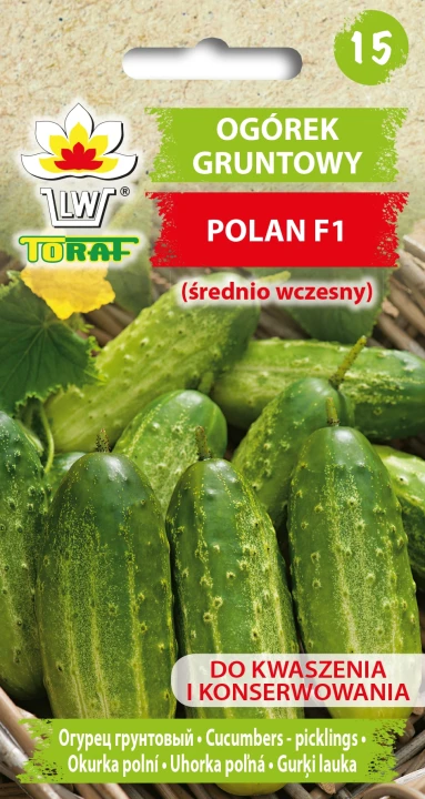 Ogórek-gruntowy-POLAN.webp