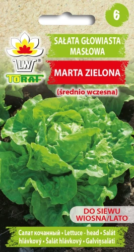 Sałata-MARTA-ZIELONA.webp
