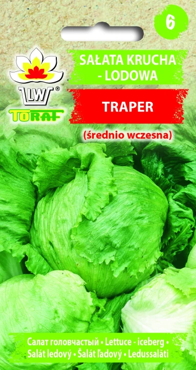 Sałata-TRAPER.webp