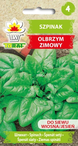 Szpinak-OLBRZYM-ZIMOWY.webp