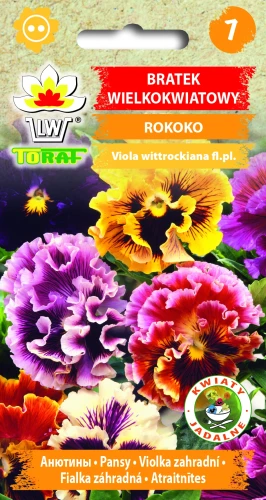 Bratek-ROKOKO.webp