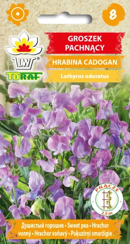 Groszek-pachnący-HRABINA-CADOGAN.webp