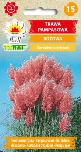TRAWA-PAMPASOWA-RÓŻOWA.webp