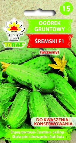 Ogórek-Śremski.webp