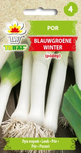 Por-Blauwgroene-Winter.webp