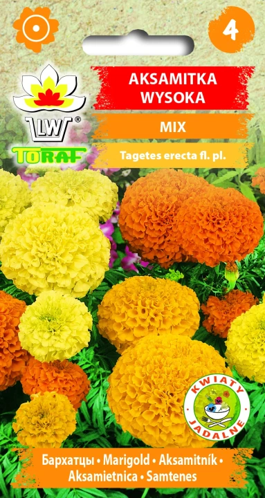 Aksamitka-wysoka-MIX.webp