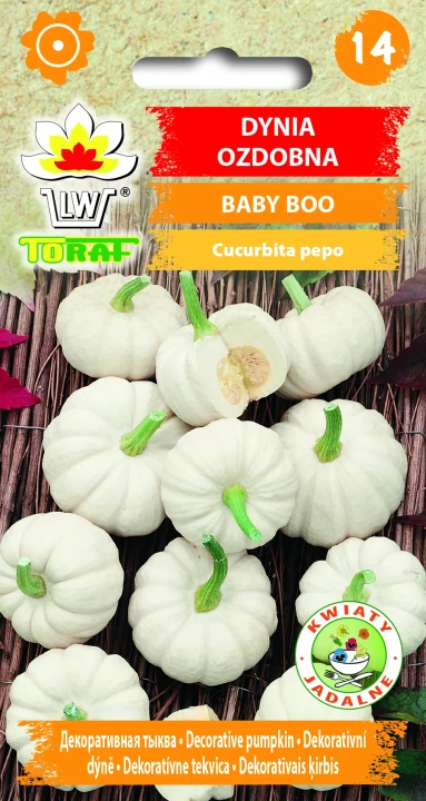 Dynia-ozdobna-Baby-Boo.webp