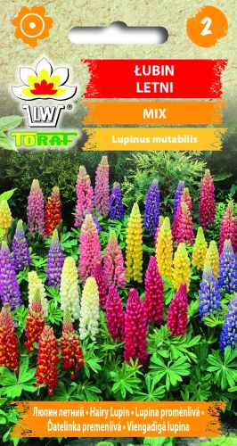 Łubin-roczny-mix.webp