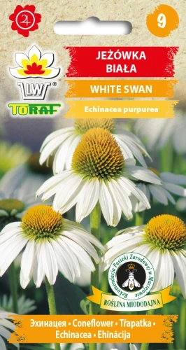 Jeżówka-BIAŁA-WHITE-SWAN.webp