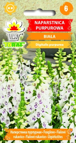 Naparstnica-purpurowa-biała.webp