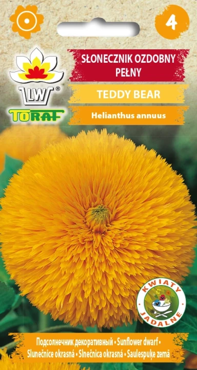 Słonecznik-ozdobny-pełny-Teddy-Bear.webp