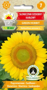 Słonecznik ozdobny karłowy Green Hobbit nasiona 1g Toraf